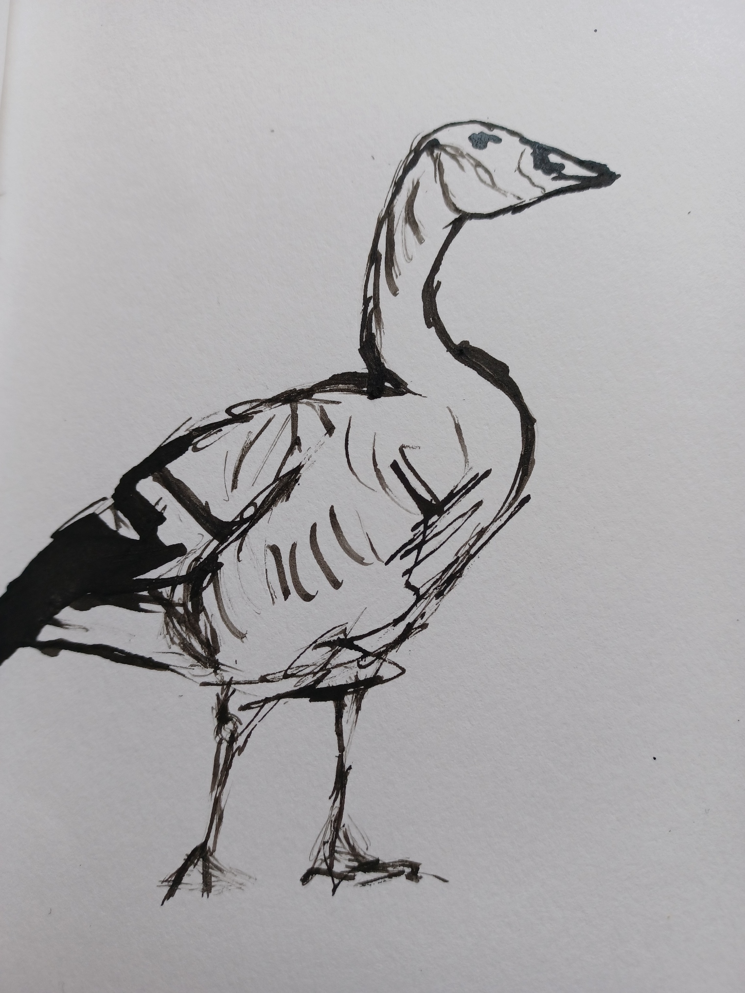 Drawing Masterclass - With Dr Elizabeth Sherratt - Sunday 4 October 2026 - Image 4